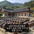 세종전통장류박물관 | 세종전통장류박물관: 발효의 깊은 지혜, 한국의 맛을 만나다!