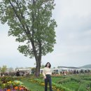 지영의류 이미지