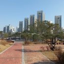 해밀동_해밀마을BRT 이미지