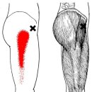 CM Fitness 이미지