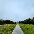 용인 천주교용인공원묘원 옹기 김수환추기경 묘