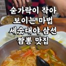 대마반점