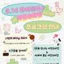 파이데이 3.14 Daum카페