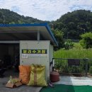합천 아마존 오토캠핑장 | 합천군 정양레포츠공원 오토캠핑장 방문후기