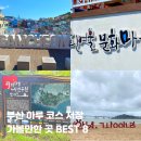 감천쫀드기 | 부산 당일치기 여행, 하루 코스로 다녀온 부산 가볼 만한 곳 BEST 8
