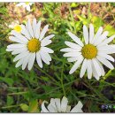 달서노인종합복지관 이미지