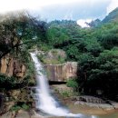 괴산1길 이미지