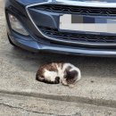 곰보분식 | 2025년 마지막엔 무슨 말을 하고 싶어?