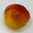 뽑기의 신 | 내돈내산 프룻대디 9900원 과일 럭키박스 뽑기운 대성공 후기