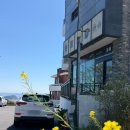 신동로 | 제주 서귀포솥밥 특별한 점심맛집 솔솥