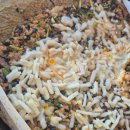 [내돈내산-김반장오리주물럭앤펍] 김포구래동맛집