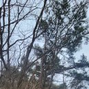 황구산장 | 완주 고덕산(2024.2.24)