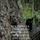 해피 - 화성시 효행로291번길 24 | 해피