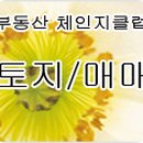 잘하는공인중개사사무소 이미지