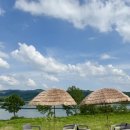 누리팜 - 전주시 덕진구 | 청주 문의 대청호 카페 추천, 누리팜 후기🌿