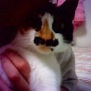 만수3동-6 이미지