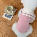 바람난강아지 | 강아지옷 비교하며 느낀 우리 아이의 일상 변화 후기