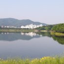 돌마농장 이미지