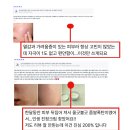 트루멜로디 이미지