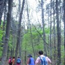 대지-걷기 이미지