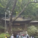 조평1리 정자옆 | 🧊 "여름에 진짜 천국이 따로 없네" 아침가리 계곡 트레킹 완전 정복기 (3번 다녀옴)