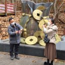 (주)디에스투어 이미지