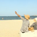 희망의 꽃밭에서 이미지