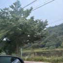 가평빠지 | 가평 빠지 만족 후기