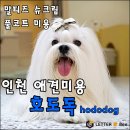 hododog(호도독) 네이버블로그