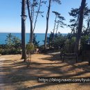 송정공원1(공원) 이미지