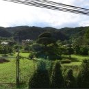 한숲레드공인중개사사무소 이미지