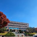 행정용 9번 | 혼인신고서 작성 방법 및 평택 송탄출장소 혼자 혼인신고 후기