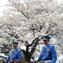 싸울아비 이미지