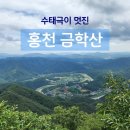 산그리메 | 홍천 금학산 등산 최단 코스, 수태극 전망과 위험했던 여름 산행 후기, 주차 정보