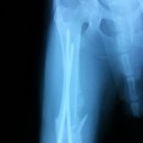 안정현동물병원 이미지