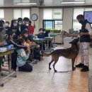 남원도통초등학교 이미지