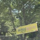 대구 근교 오토캠핑장 추천 [영천 보현산 별무리 사이트A10] 솔직후기