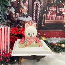 디어마이독 이미지