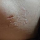 JS메디칼내과외과정형외과의원 이미지