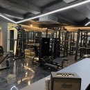 페르소나 피티 이미지