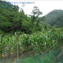 문경빌딩