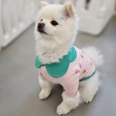 멍바라기 이미지