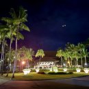 아루보리 이미지