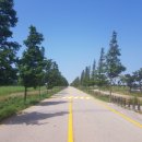 방아머리로 이미지