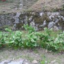 남해소담 이미지