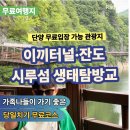 단양 가볼만한곳 이끼터널·단양강 잔도·시루섬 생태탐방교 한 번에 다녀온 후기