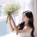 마이북스튜디오 이미지