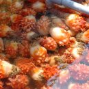 레인보우웰빙 이미지