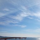 준보네수산