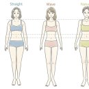 나에게 어울리는 스타일은?(체형진단) 이미지